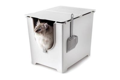 Bài Viết 19 Fancy Cat Litter Box Update