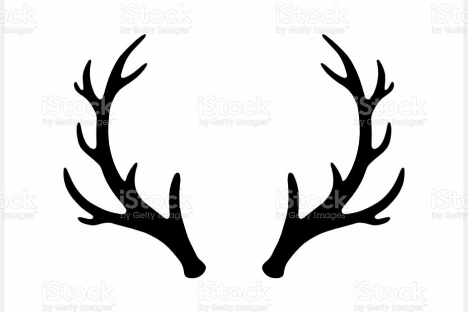 Bài Viết 69 Deer Antler Clip Art Update