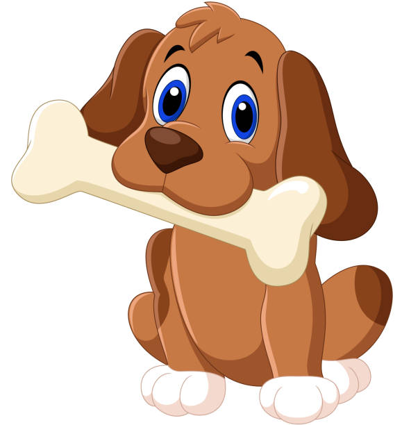 Dog And Bone Clipart: Tải Miễn Phí Hình Ảnh Gấu Và Xương