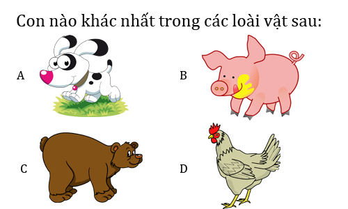 Đố Vui Bằng Hình Ảnh: Bạn Có Thể Giải Đáp Những Thử Thách Này?