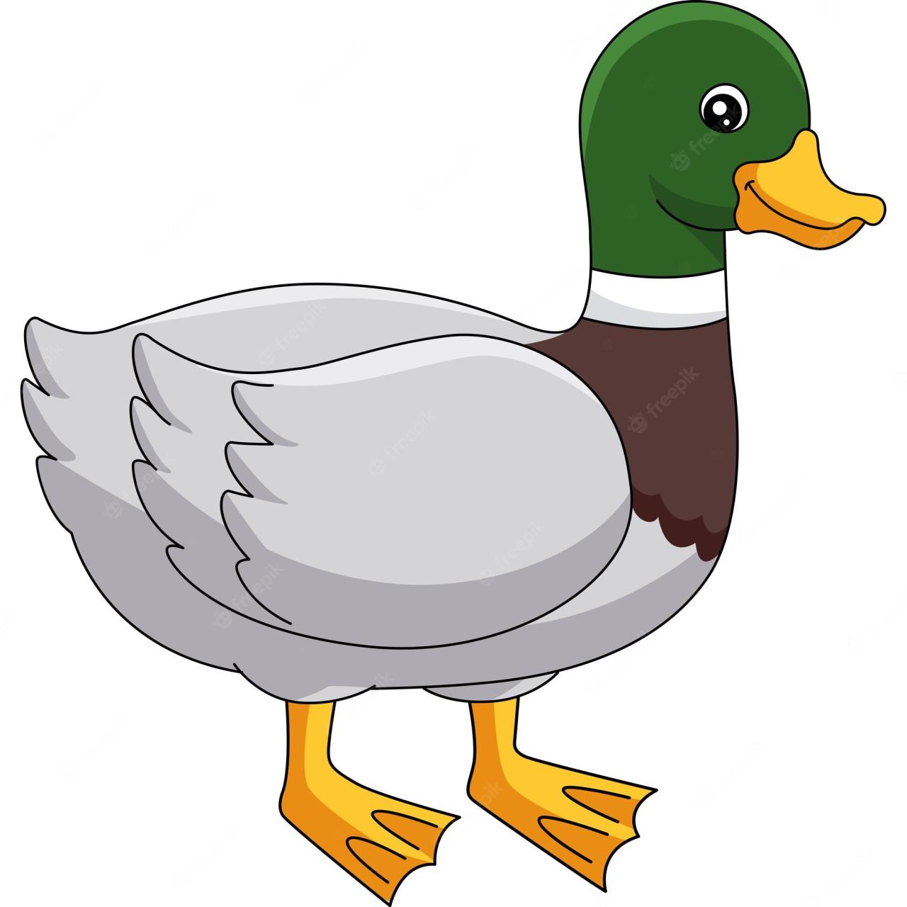 Premium Vector | Duck Cartoon Colored Clipart Illustration