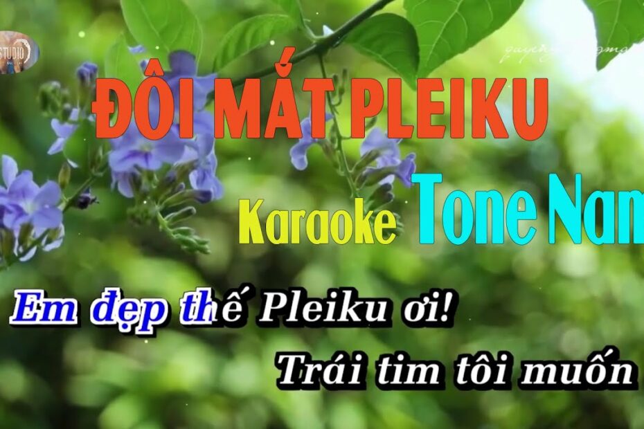 Em Đẹp Thế Pleiku Ơi: Hương Sắc Tựa Hoa Đất Tây Nguyên