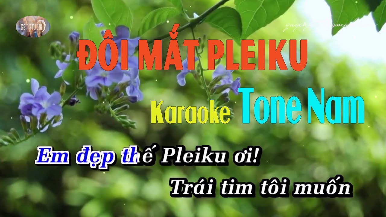 Đôi Mắt Pleiku || Karaoke Tone Nam .. Em Đẹp Thế Pleiku Ơi, Trái Tim Tôi  Muốn Vỡ Tan Rồi - Youtube