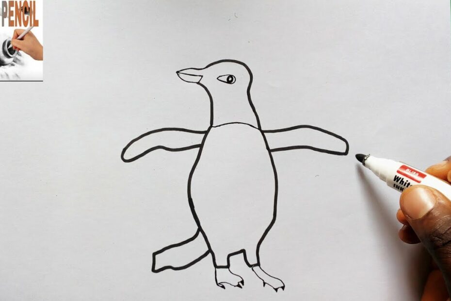 How To Draw A Adelie Penguin
