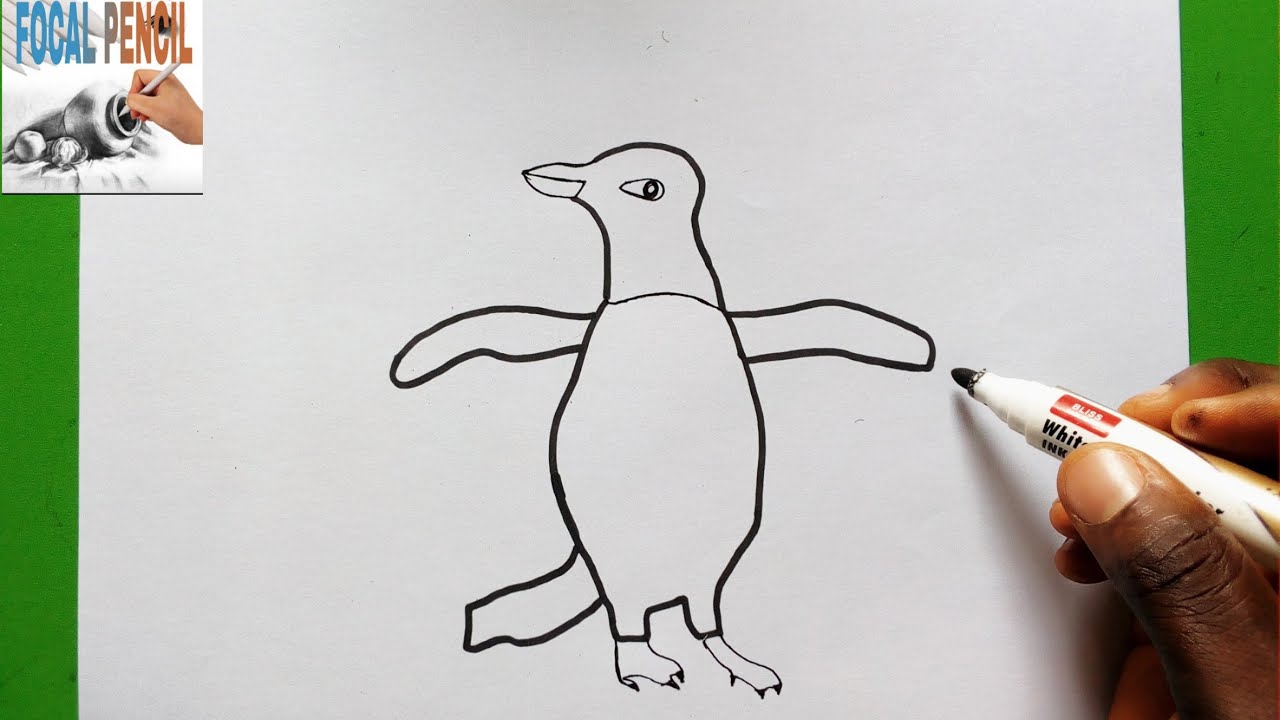 How To Draw A Adelie Penguin