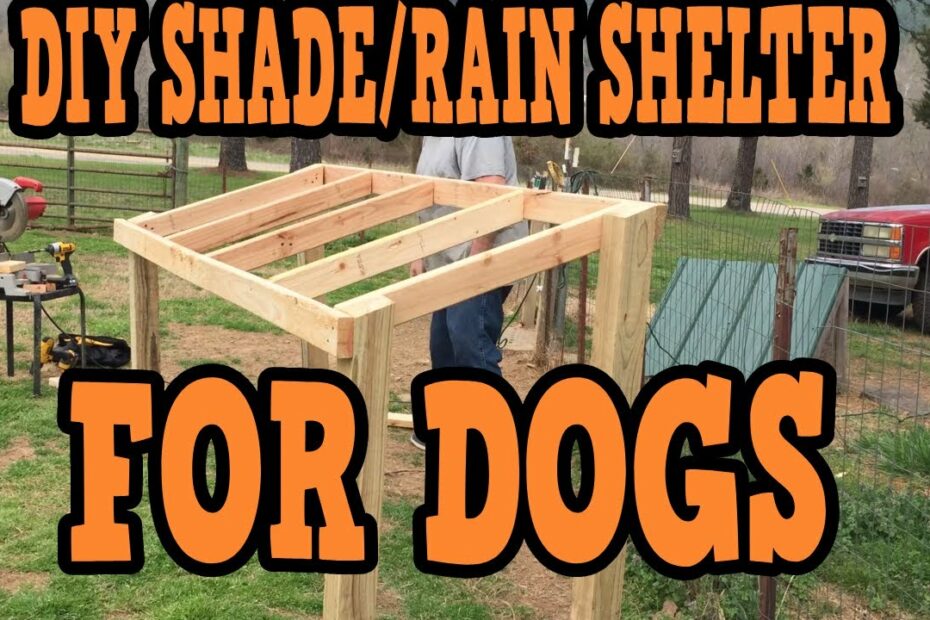 Top 20 Diy Dog Rain Shelter Update