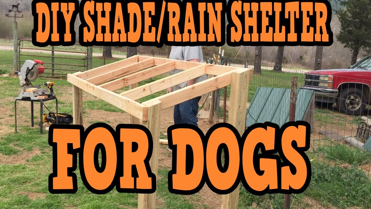 The Dogs Have Shade Again/Diy Shade & Rain Shelter - Youtube