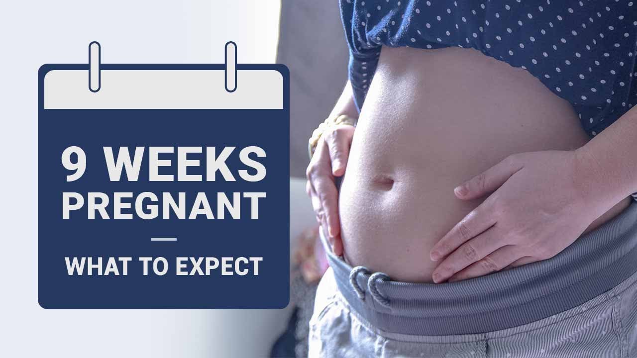 How Long Is 9 Weeks