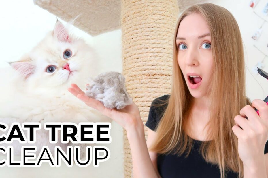 How To Deep Clean A Cat Tree