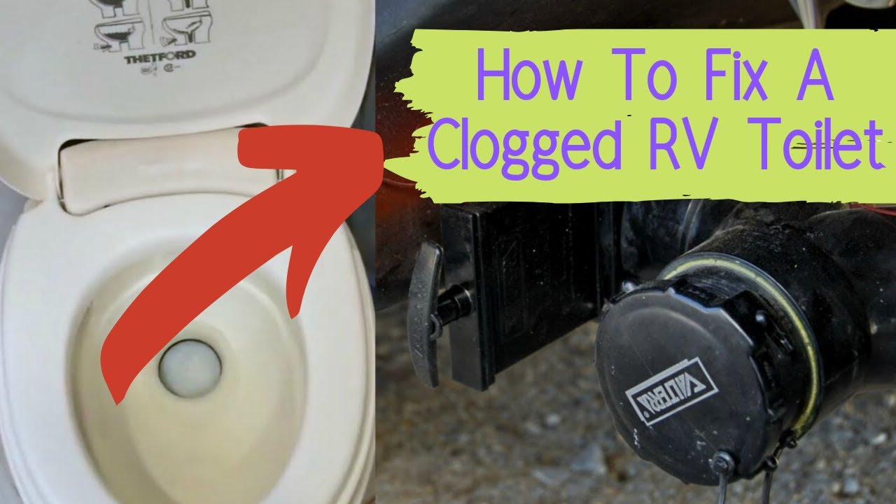 How To Get Rid Of Maggots In Rv Toilet