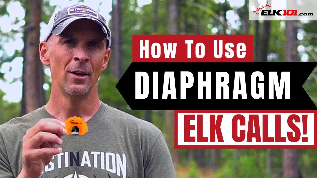 How To Call Elk With A Diaphragm
