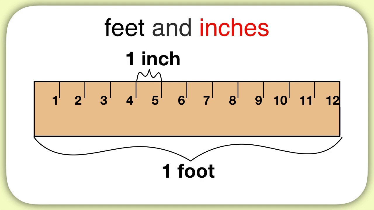 How Many Feet Is 56.4 Inches