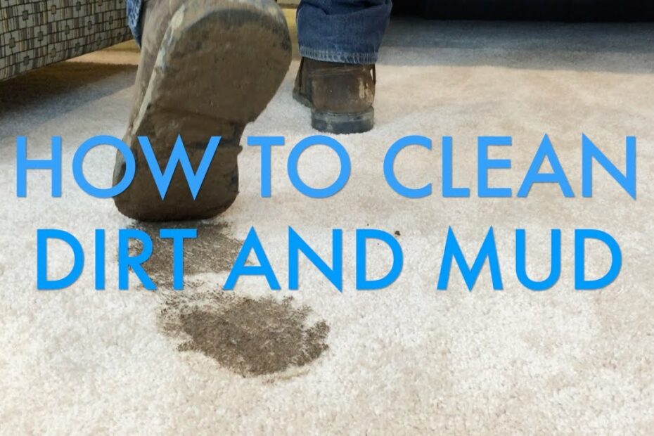 How To Get Sawdust Out Of Carpet