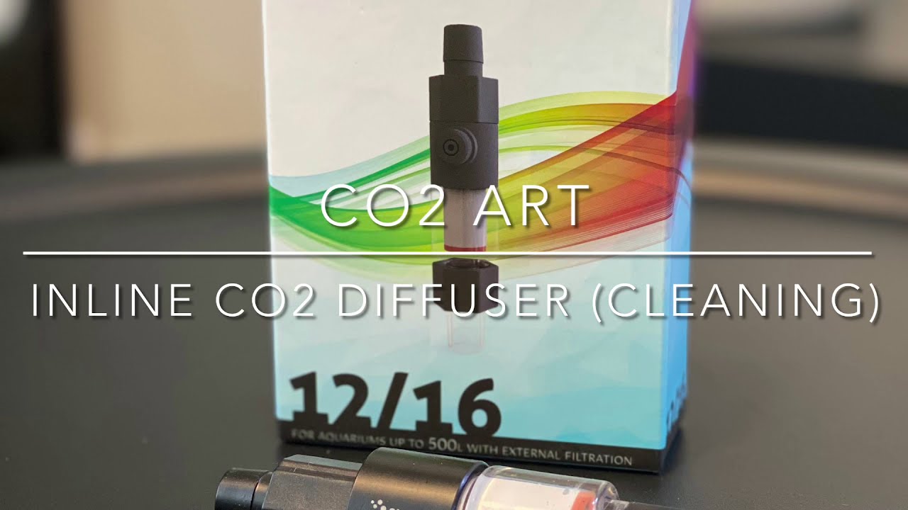 How To Clean Inline Co2 Diffuser