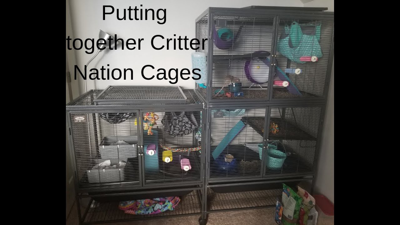 How To Connect Two Critter Nation Cages