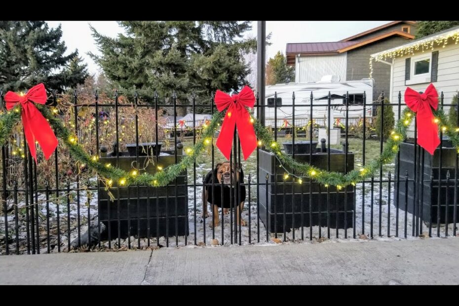 How To Decorate A Chain Link Fence For Christmas