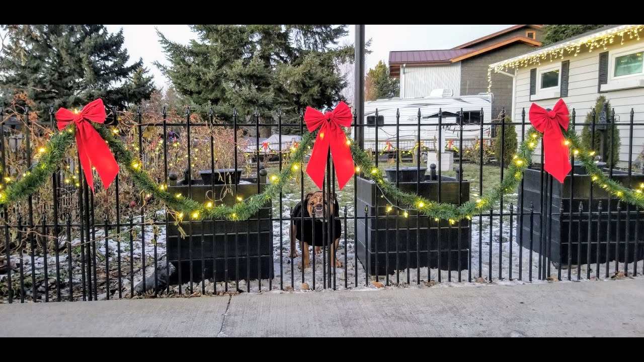 How To Decorate A Chain Link Fence For Christmas
