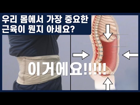 메타 타이틀:
코어 근육 4 가지 – 강화하는 운동법과 중요성