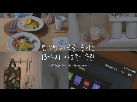 메타 타이틀:
탄소 발자국 줄이는 방법: 지속 가능한 환경을 위한 5가지 전략