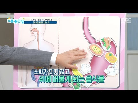 [HEALTH] vomiting after overeating , 기분 좋은 날 20191007