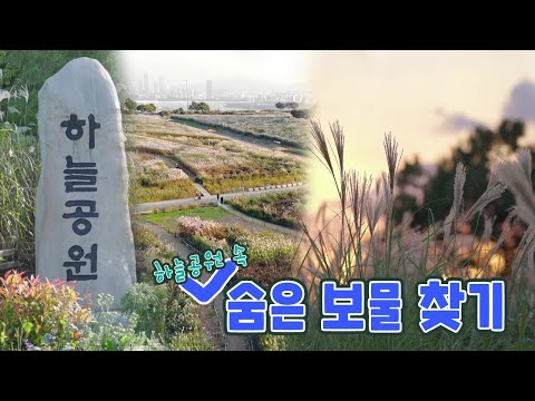 [4K] 서울의 대표적인 풍경 명소 🌾하늘공원 둘러보기🌾ㅣ서울의 공원
