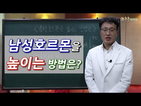 남성 호르몬 높이는 법: 건강한 남성을 위한 10가지 효과적인 방법