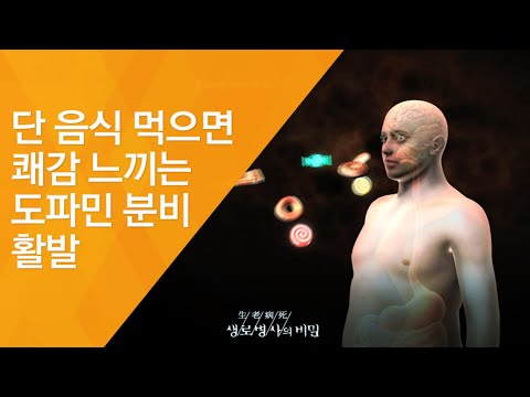 도파민 이 많은 음식: 건강과 기분 개선에 도움되는 식품들