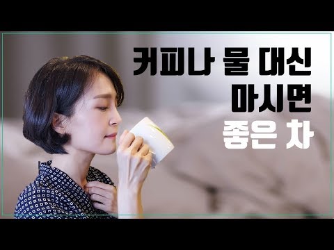 커피나 물대신 마시면 좋은 차 ㅣ 이뇨작용이 있는 차 & 이뇨작용 없는 차 ㅣ 감기에 좋은 차 [정라레]