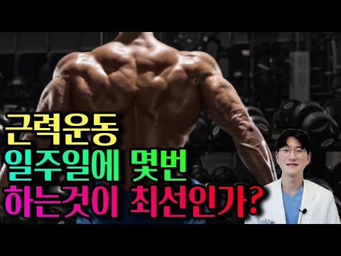 [철저한 논문근거!]매일운동 vs 격일운동 트레이너 겸 의사가 fact만 전달 드립니다