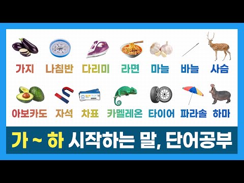 몬으로 시작하는 단어: 모험, 게임, 애니메이션과의 만남 | 최신 정보