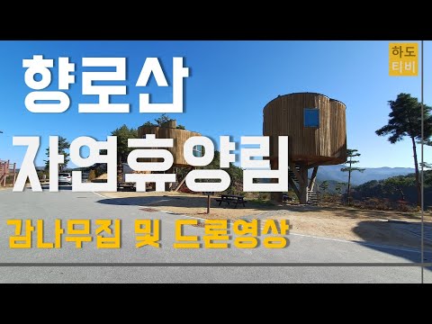 무주 향로산 자연 휴양림 – 대한민국 최고의 숲속 휴양지