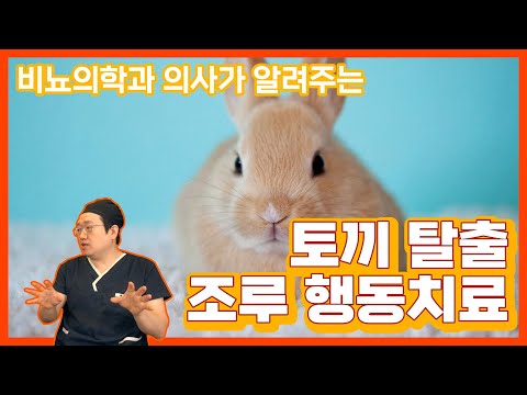 남성을 위한 사정 지연법과 성기능 강화 방법을 알아보세요. 피스톤 운동, 괄약근 운동, 약물 사용 등 다양한 조루 예방 팁을 제공합니다.