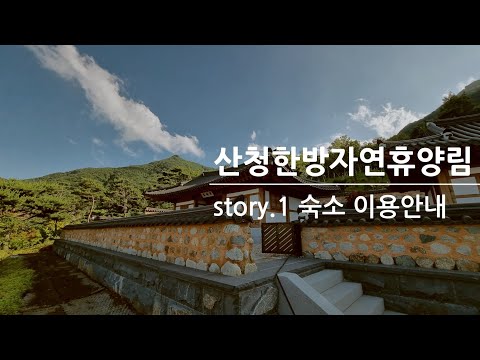 산청 한방 자연 휴양림 – 한의학과 자연의 치유력을 경험하세요!