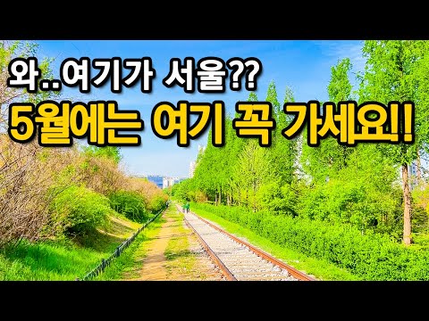 서울 산책 하기 좋은 곳 | 서울에서 즐기는 자연과 문화의 아름다움