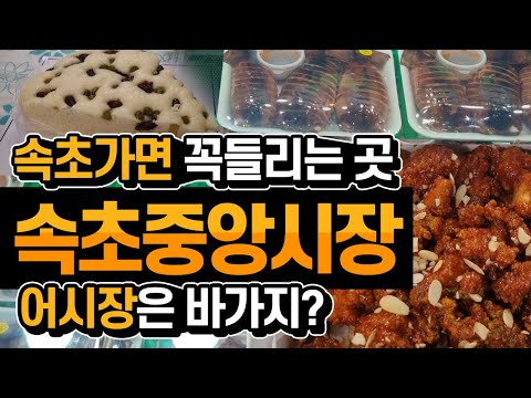 속초 관광 수산 시장 주차장 안내 – 편리한 주차 및 관광 정보