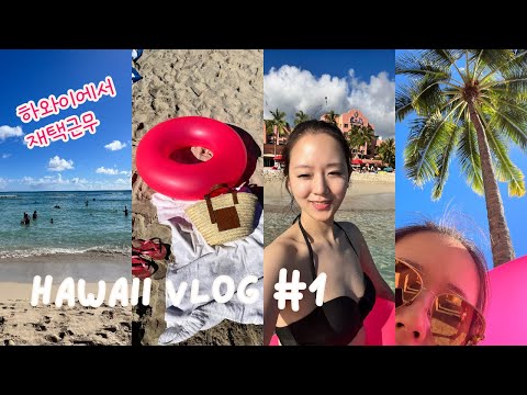 [🌺하와이 vlog] 혼자서도 잘 노는 하와이 재택근무 일상 | 쇼어라인 와이키키 호텔 | EP.01