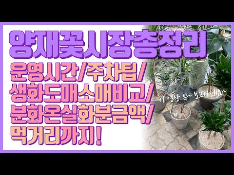 메타 타이틀:
양재 꽃 시장 영업 시간 – 다채로운 꽃들과 함께하는 화려한 시간