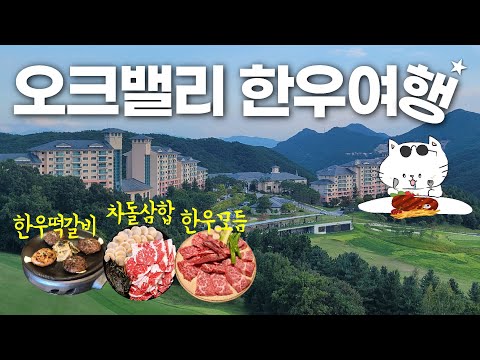 원주 맛집, 한우로만 정해드립니다 - 오크밸리 리조트 [한우맛집 2부]