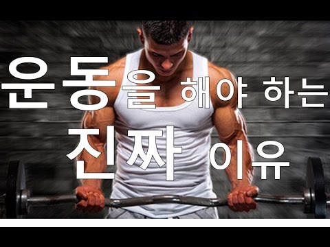 운동을 해야하는 이유 – 건강과 행복을 위한 필수 이유 | Achievetampabay