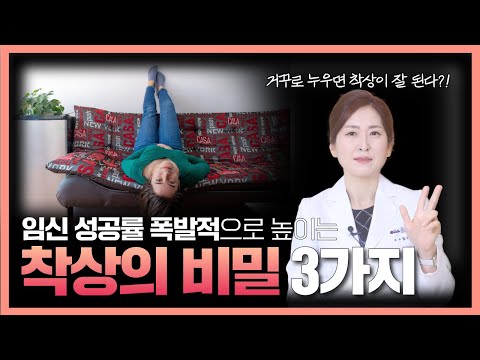 임신 확률 높이는 착상 잘 되게 하는 방법! 제발 이 영상만 보세요! [난임유튜브? 이것만 보세요 EP9.]