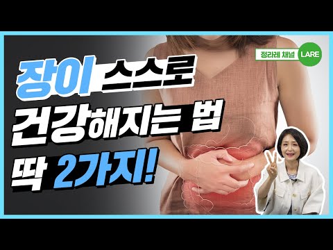 의사도 알려주지 않는 장 건강의 비밀! 대장제습기 vs 대장가습기. 장에 좋은 음식 [정라레]