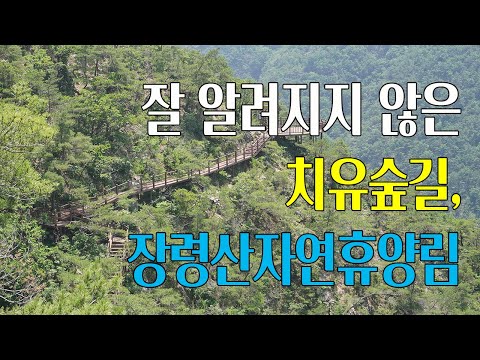 장령 산 자연 휴양림 – 자연 속 힐링과 모험의 완벽한 체험 | 특별한 휴가를 위한 최적의 장소