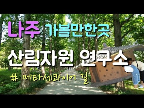 전라남도 산림 자원 연구소: 지속 가능한 산림 생태 보전 방안