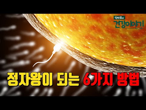 임신준비 중인 부부를 위한 건강한 정자 만드는 6가지 방법 [닥터유의 건강이야기]