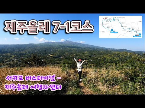 제주 올레 여행자 센터 – 제주도를 즐기는 최고의 안내 서비스