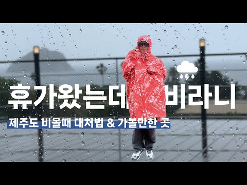 제주도 비올 때 코스: 비 오는 날을 즐기는 실내 액티비티 추천