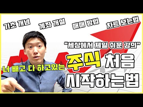 주식 투자하는 법 – 초보자를 위한 완벽 가이드